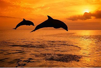 《堡垒之夜》万圣节活动联动恐怖角色皮肤曝光